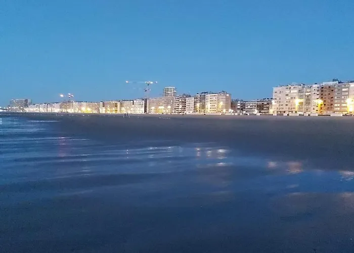 Met Zeezicht En Verwarmd Zwembad Ostend