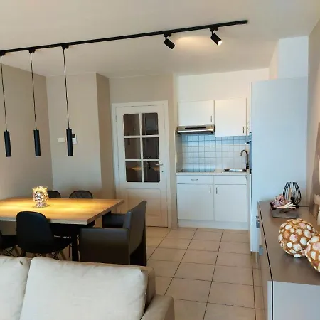 Met Zeezicht En Verwarmd Zwembad * Ostend